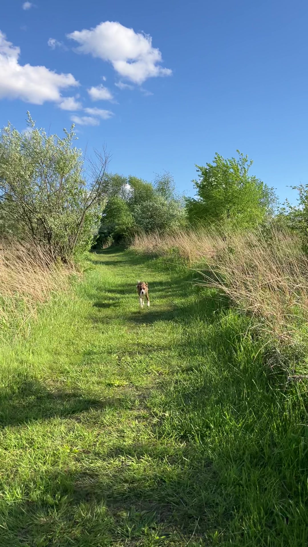@Hikingwithstanley