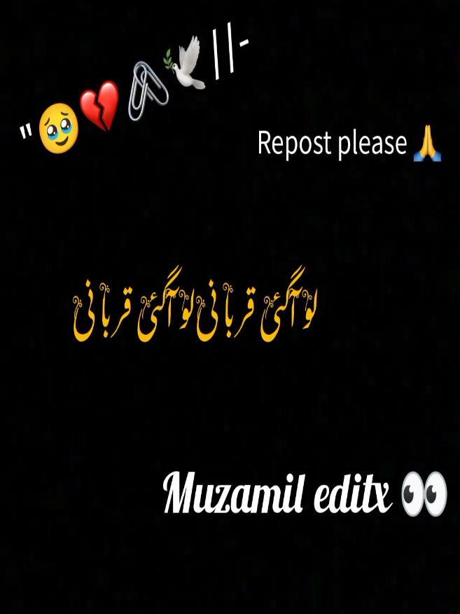 @MUZAMIL EDITX👀