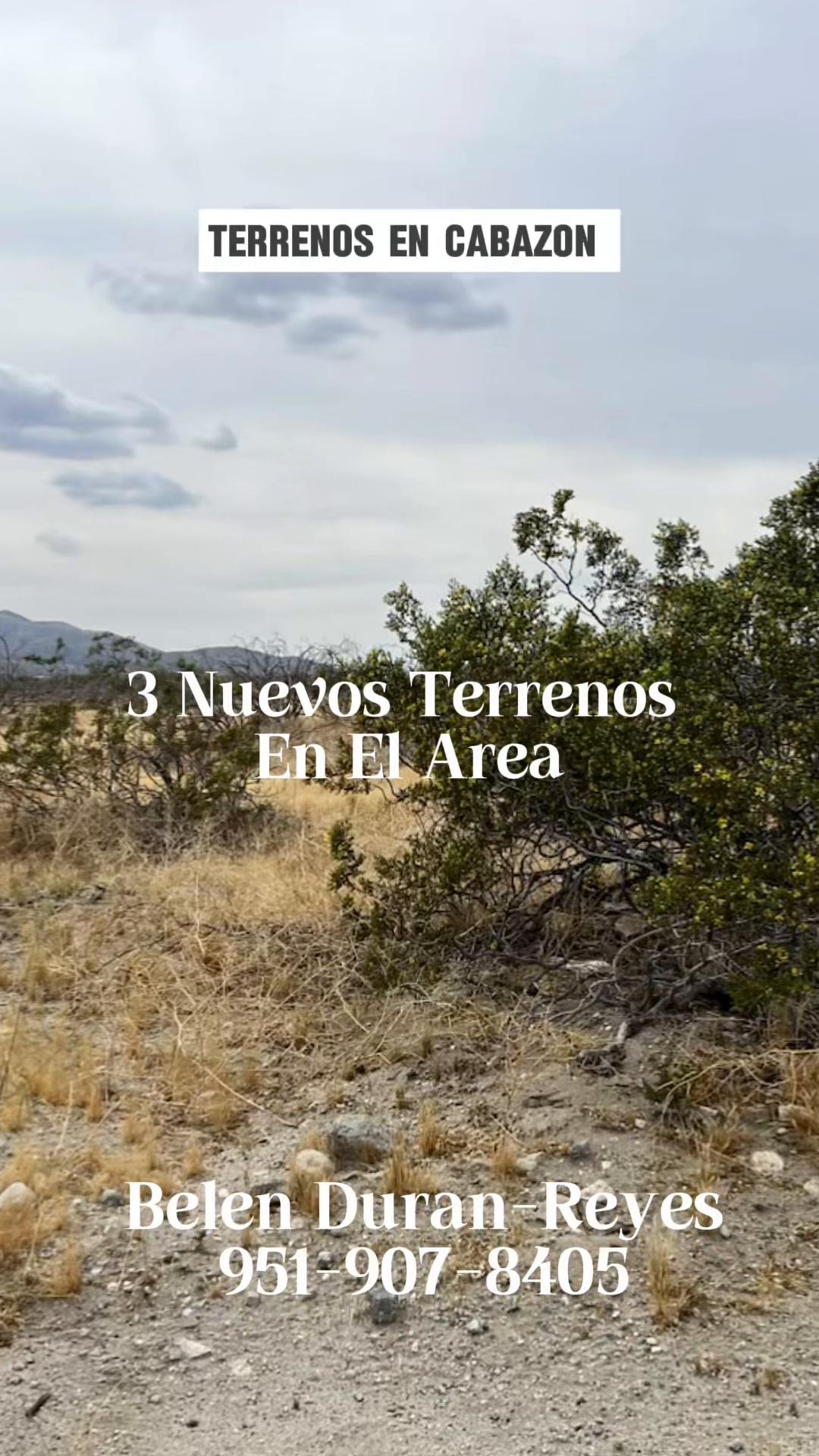 @Belen Duran-Reyes