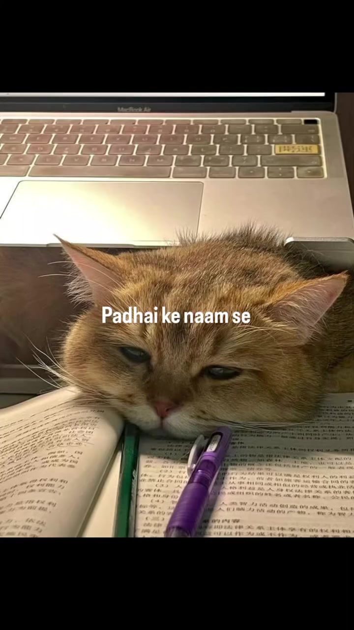@فَاطِمہَ🪾
