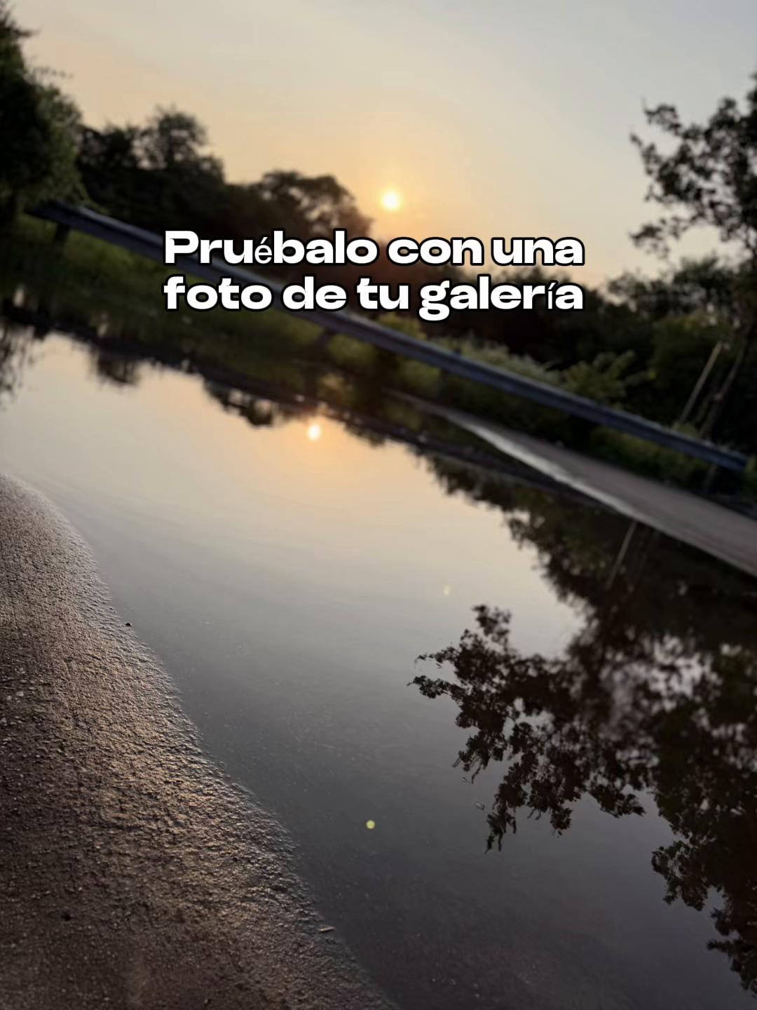 @🌸✨𝓶𝓸𝓸𝓷𝓲𝓲𝓽𝓪𝓱21✨🌸