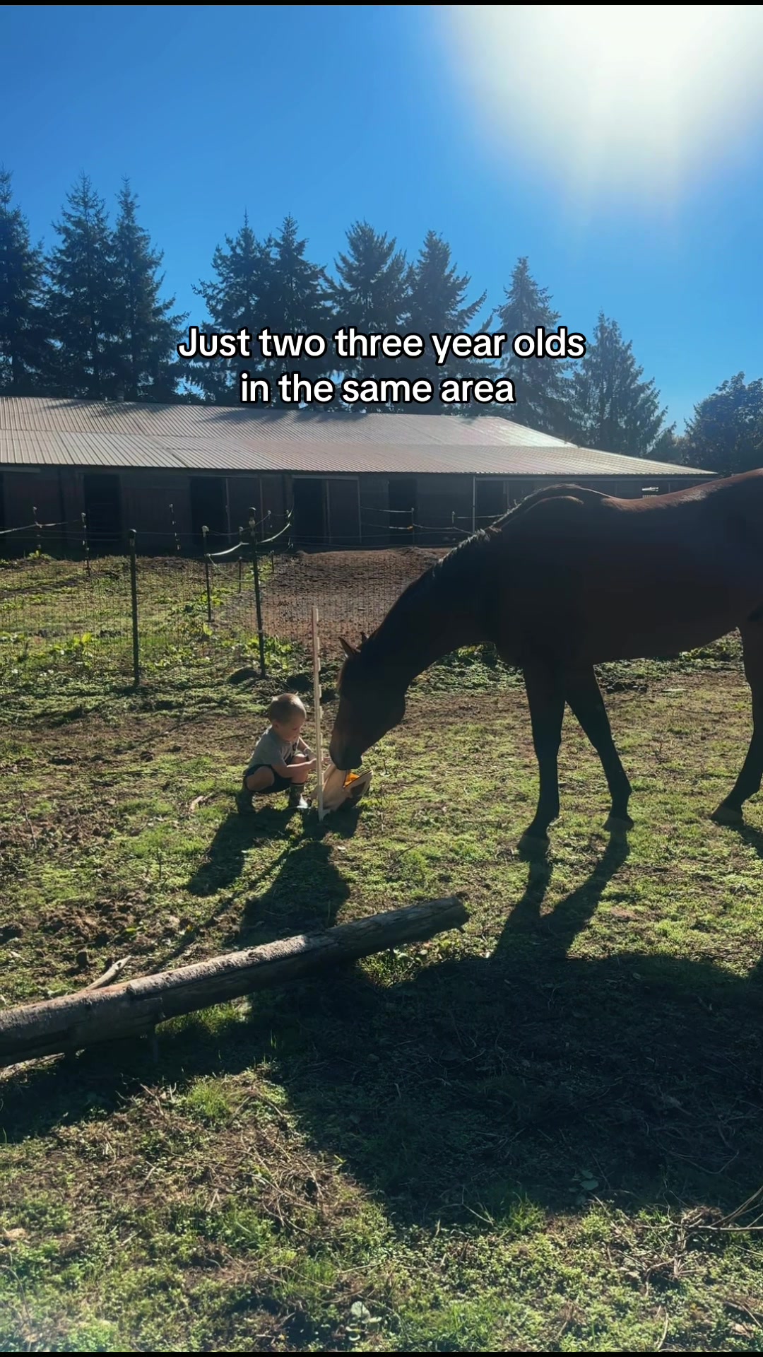 @SAMANTHA | BARREL RACING