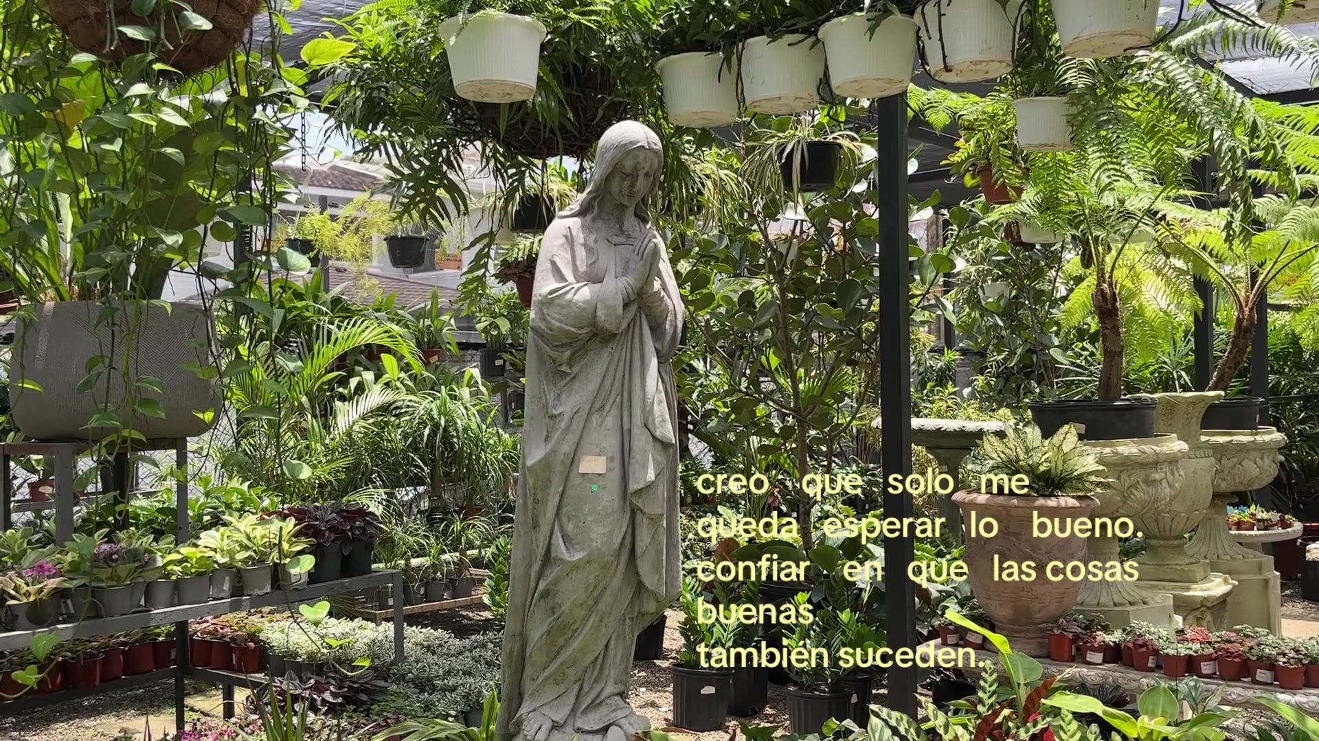 @cindy ࣪ ִֶָ☾.