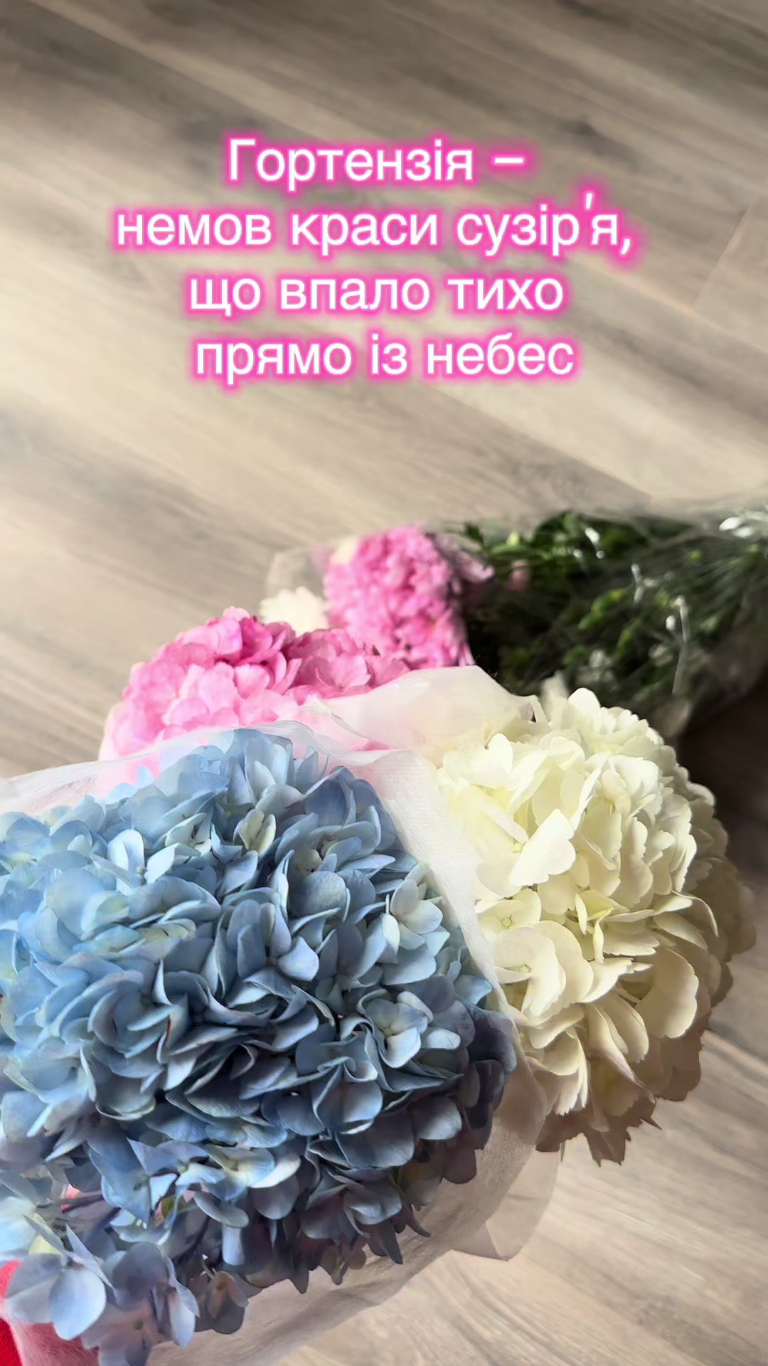 @Maria Tsanko