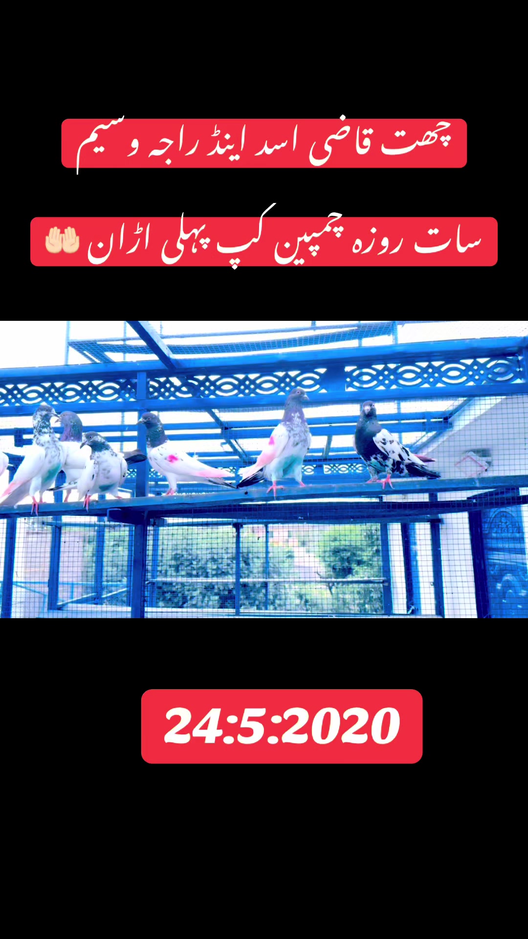 @Asadkazi