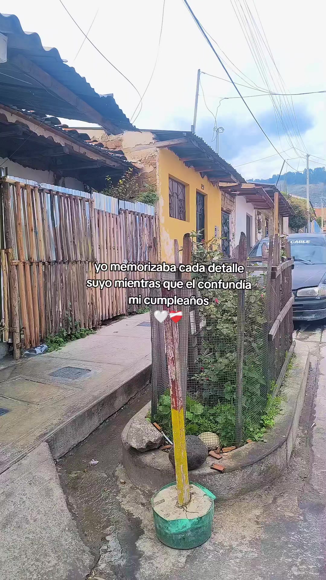 @&hearts;️𝐿𝓎 𝒞𝒞𝟫𝟫-𝟢𝟨🦁Oficial