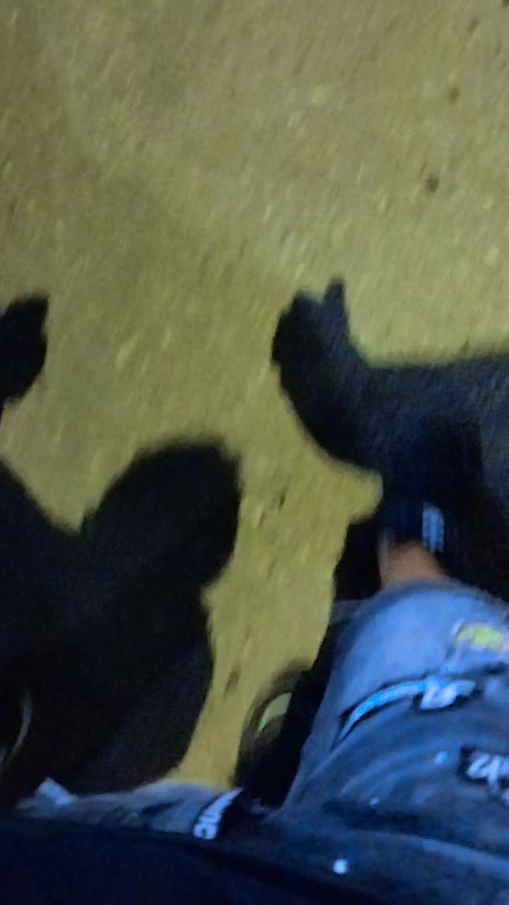@El Mopri 5/5