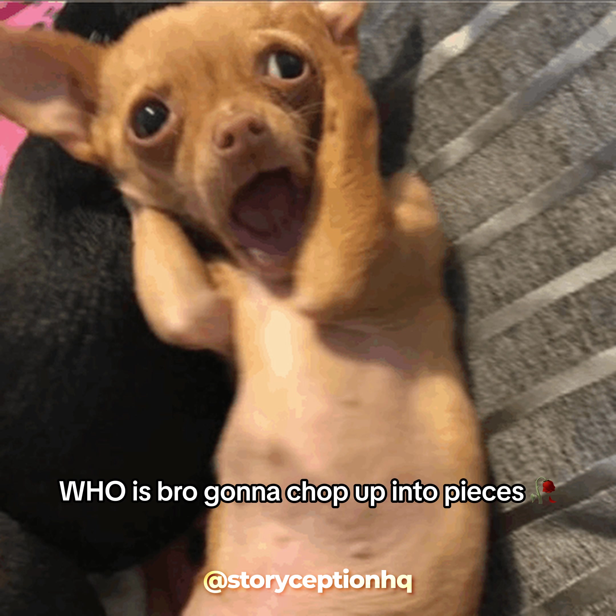 @Storyception