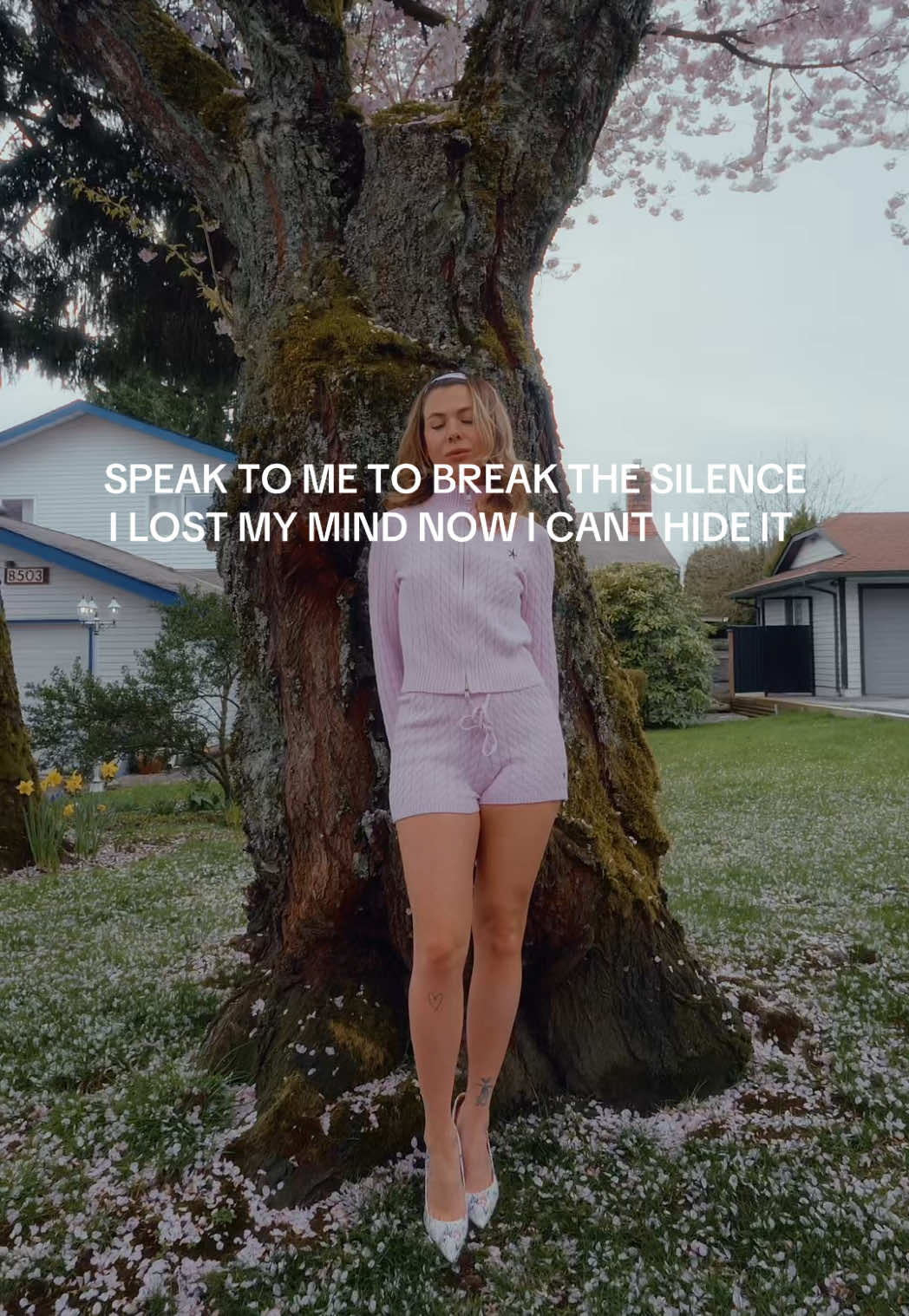 @WHIPPED CREAM