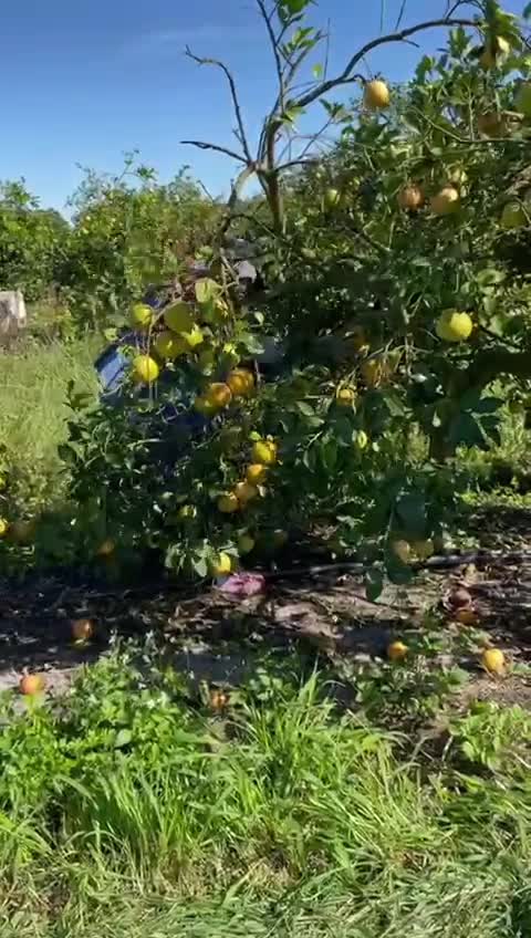 @aureliohernandez301