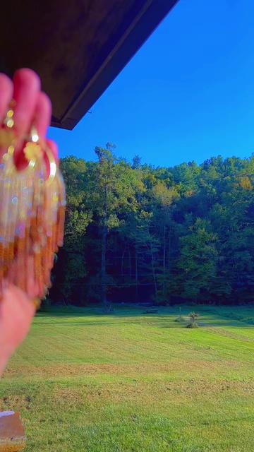 @Taylor@Wild Willow Beadwork