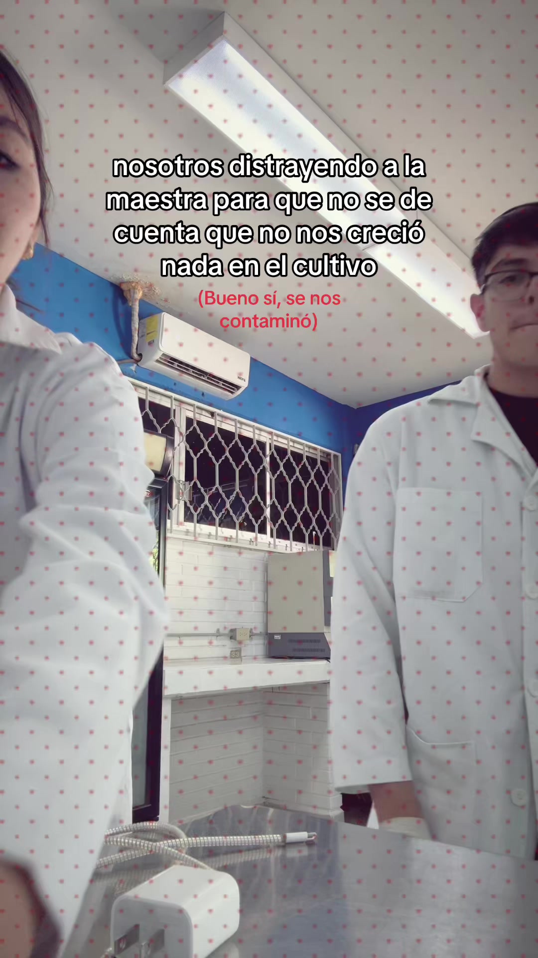 @daidai