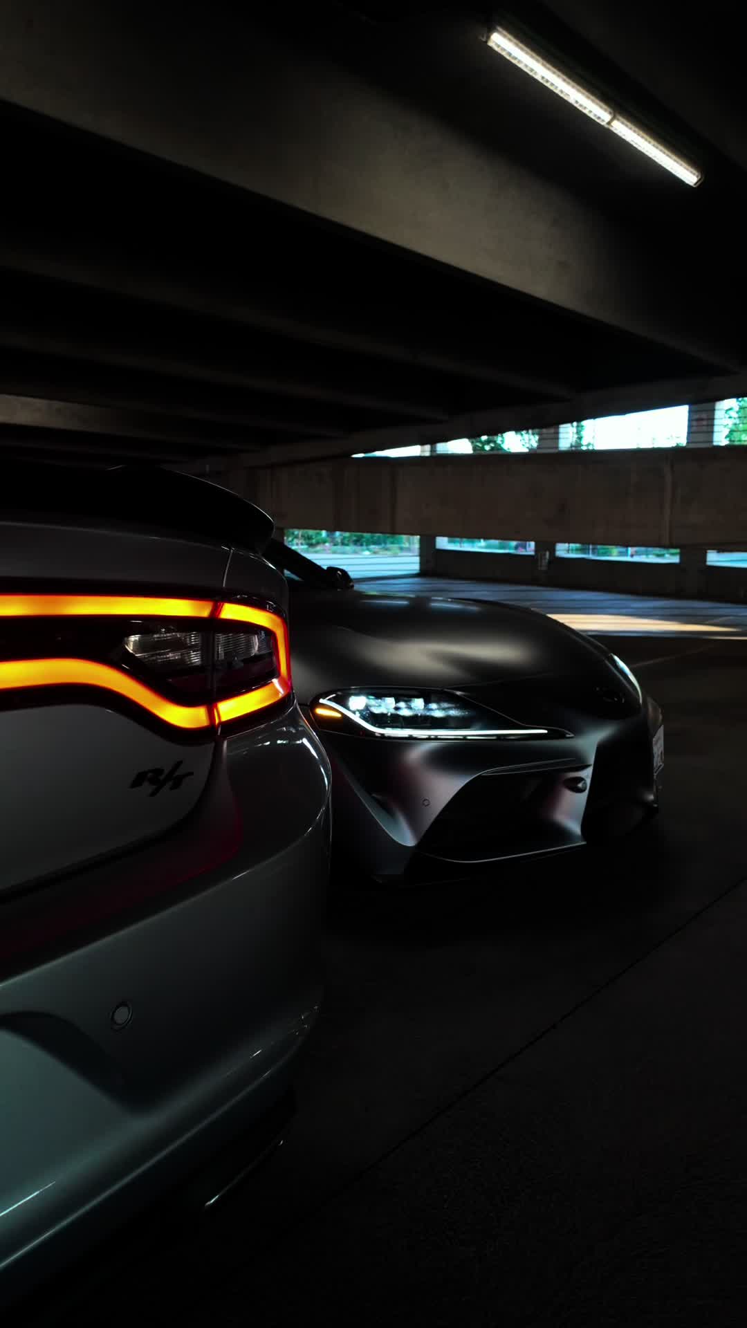 @HailsRt 🩶
