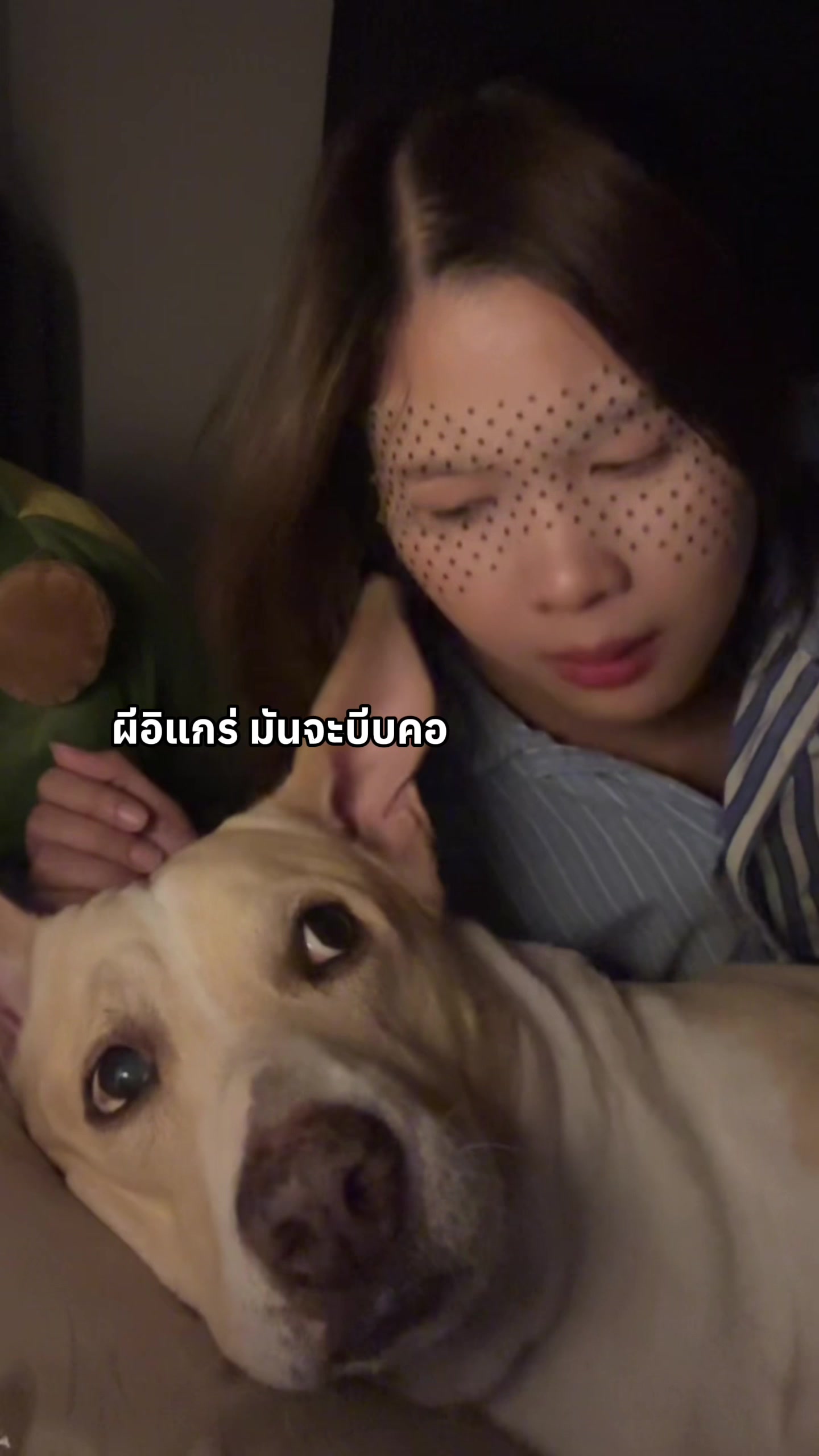 @สามชั้นหมาโหลดต่ำ