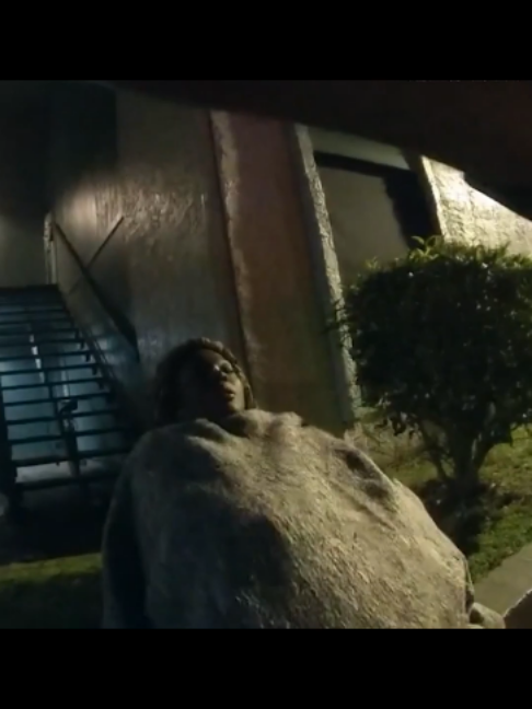 @News ICE
