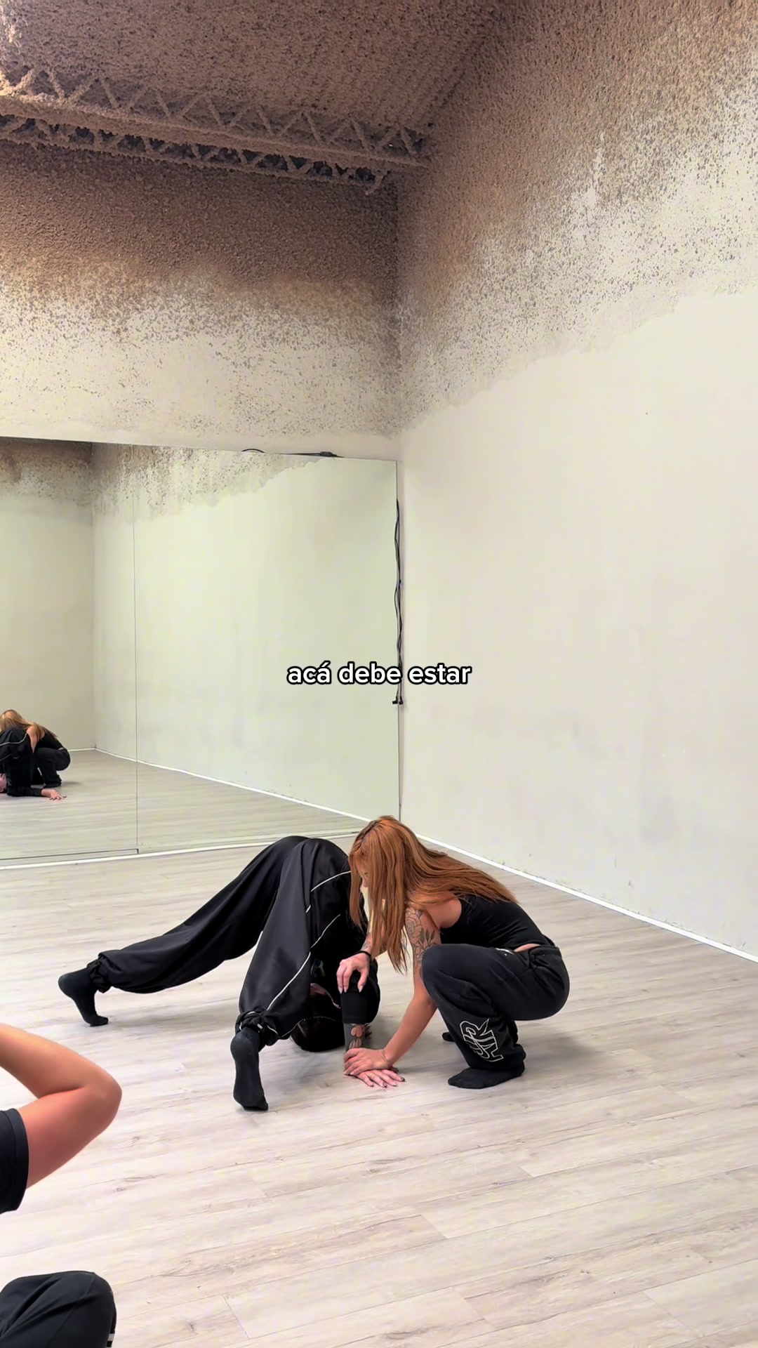 @solci louro 。✩