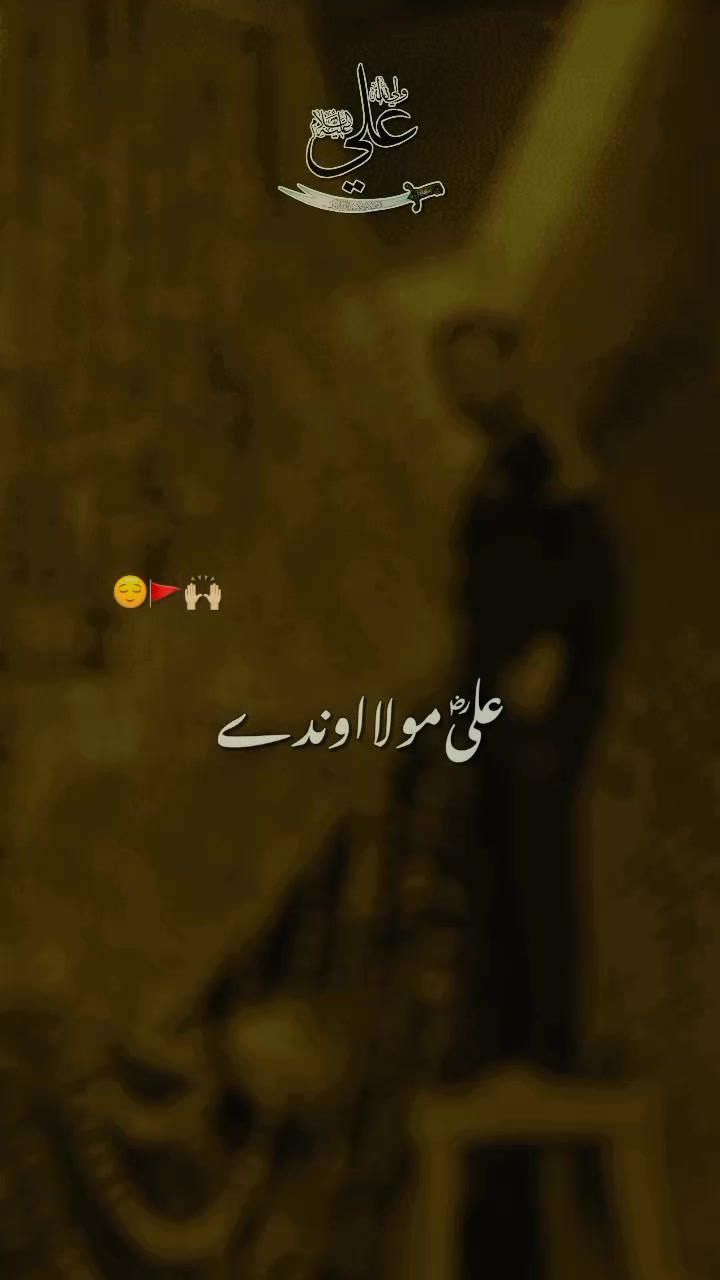 @HUSSAIN RAZA