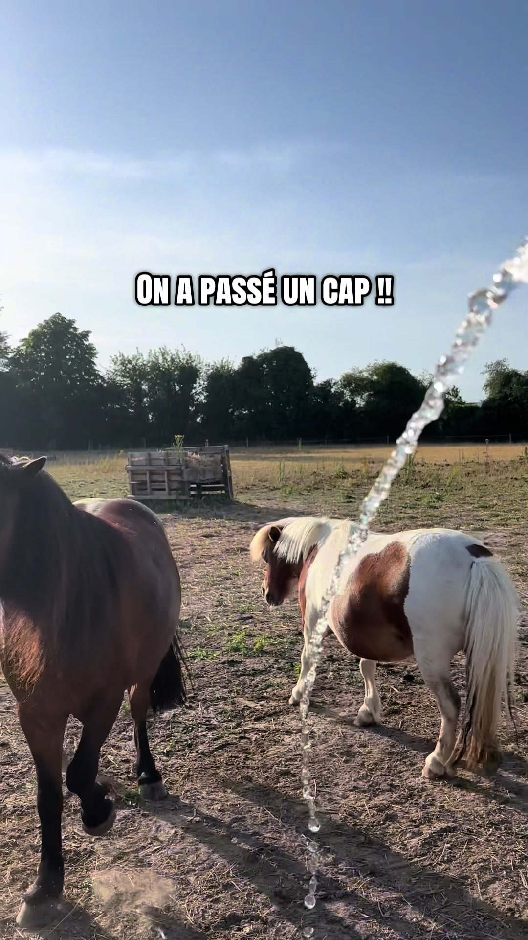 @Jumpy et Am&eacute;lia