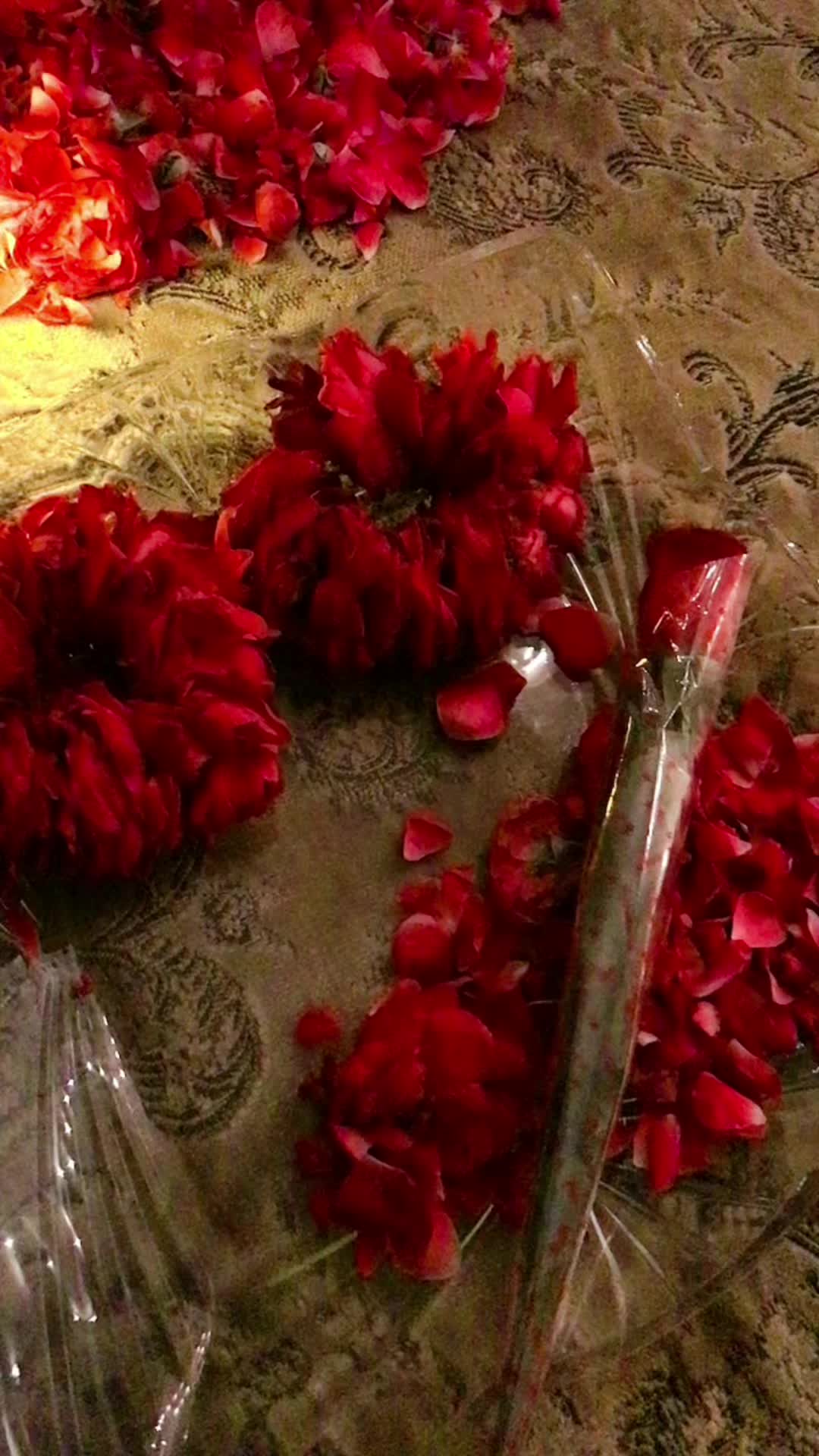 @💞꧁𝐇𝐚𝐢𝐝𝐞𝐫 𝐤𝐢 شہزادی꧂💞