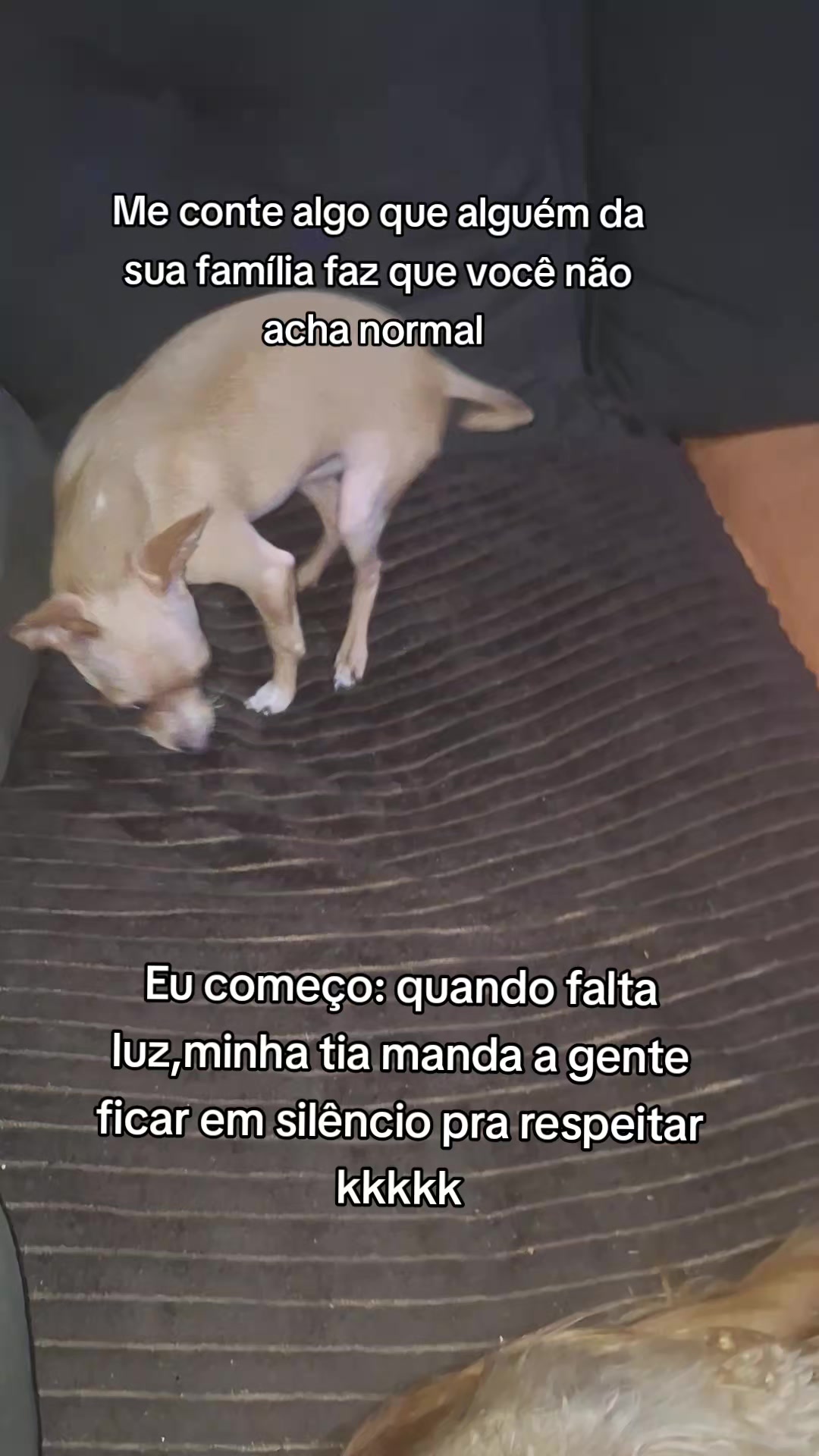 @Paloma Machado865