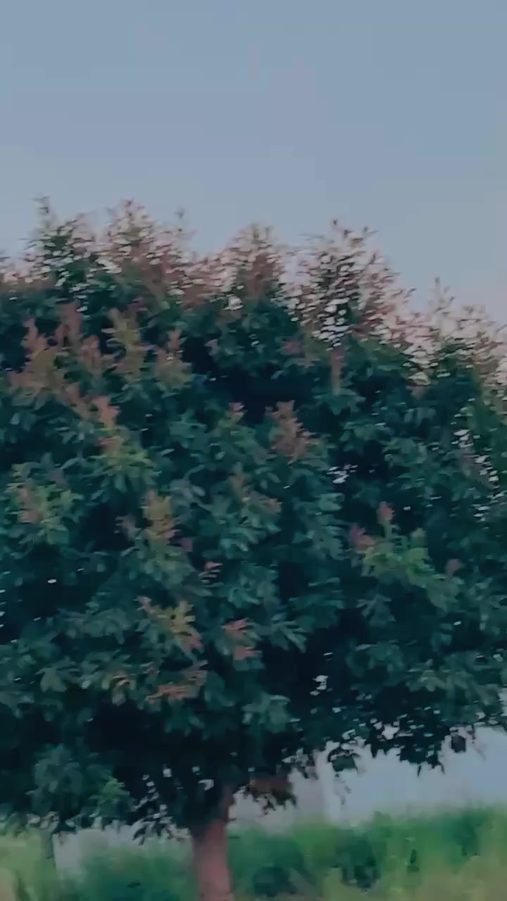 @☠︎☬ ⲏ𝗮ŕì𝐬 ☠︎☬
