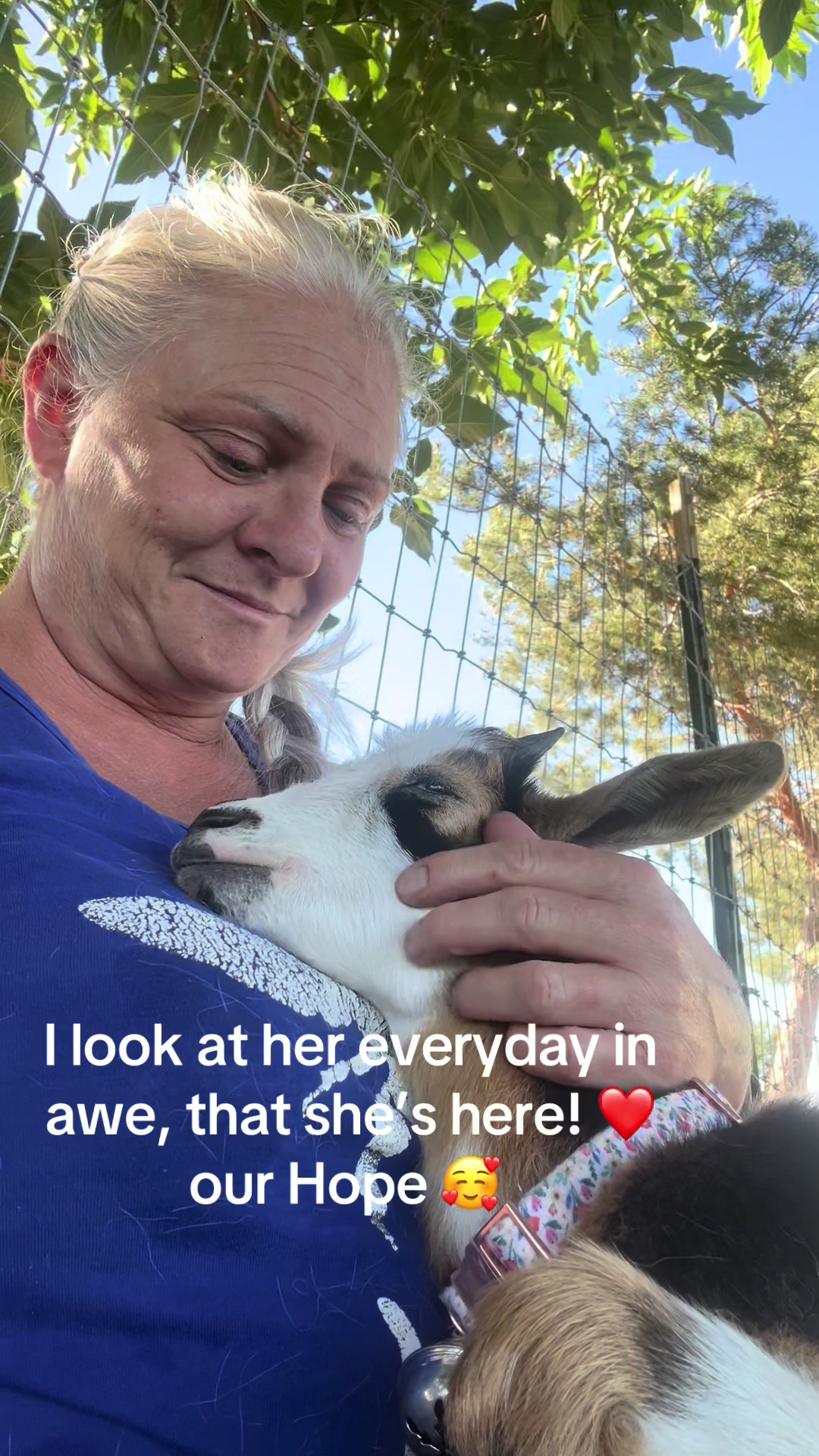 @WollamFarm