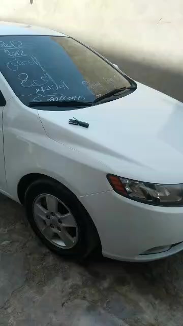 @محمد المزوغي