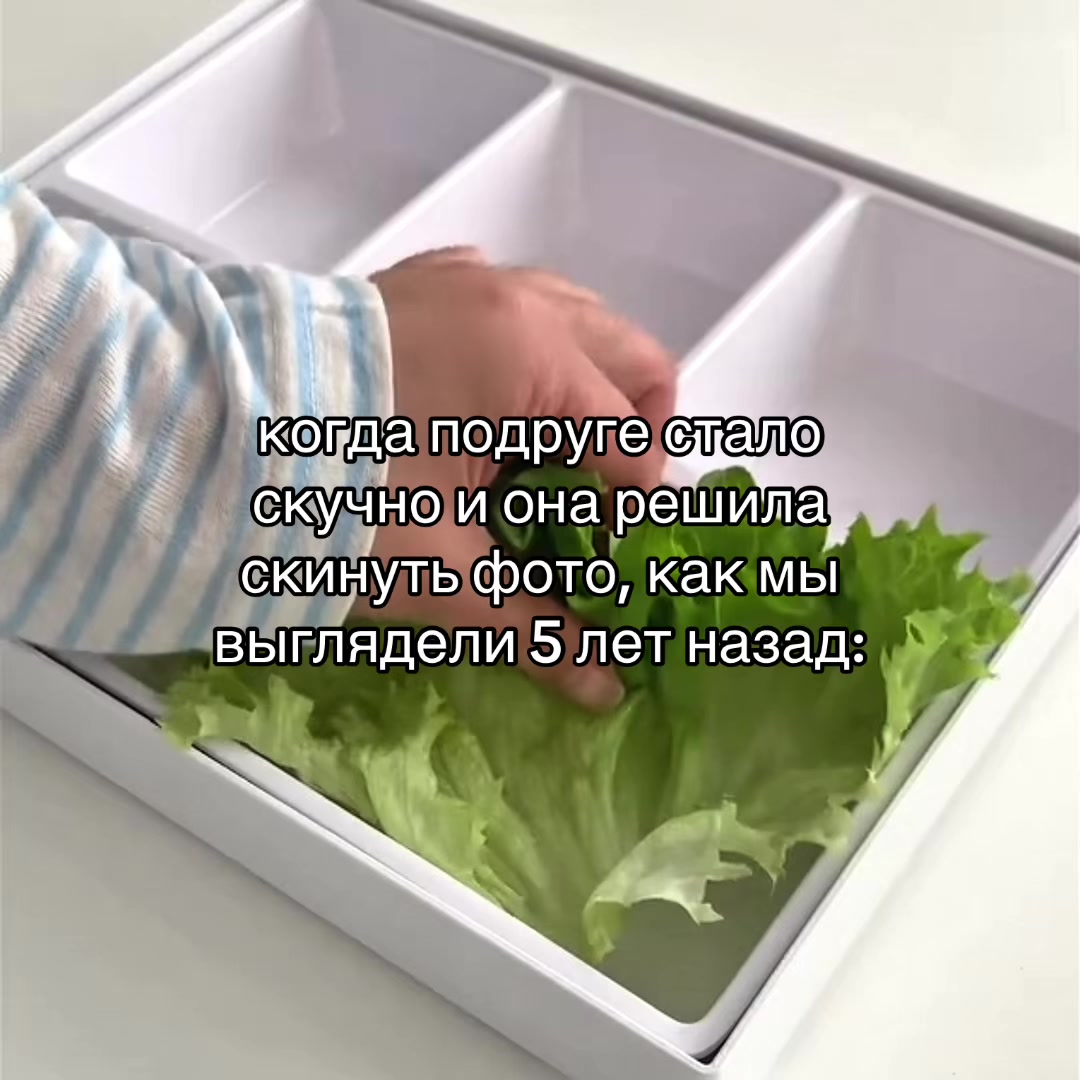 @Tashik