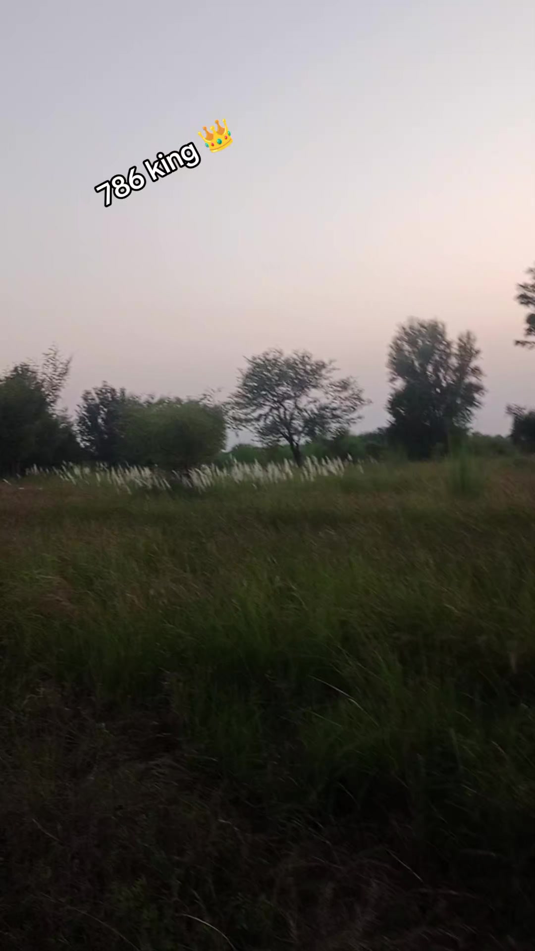 @چوہدری نثار مندیال