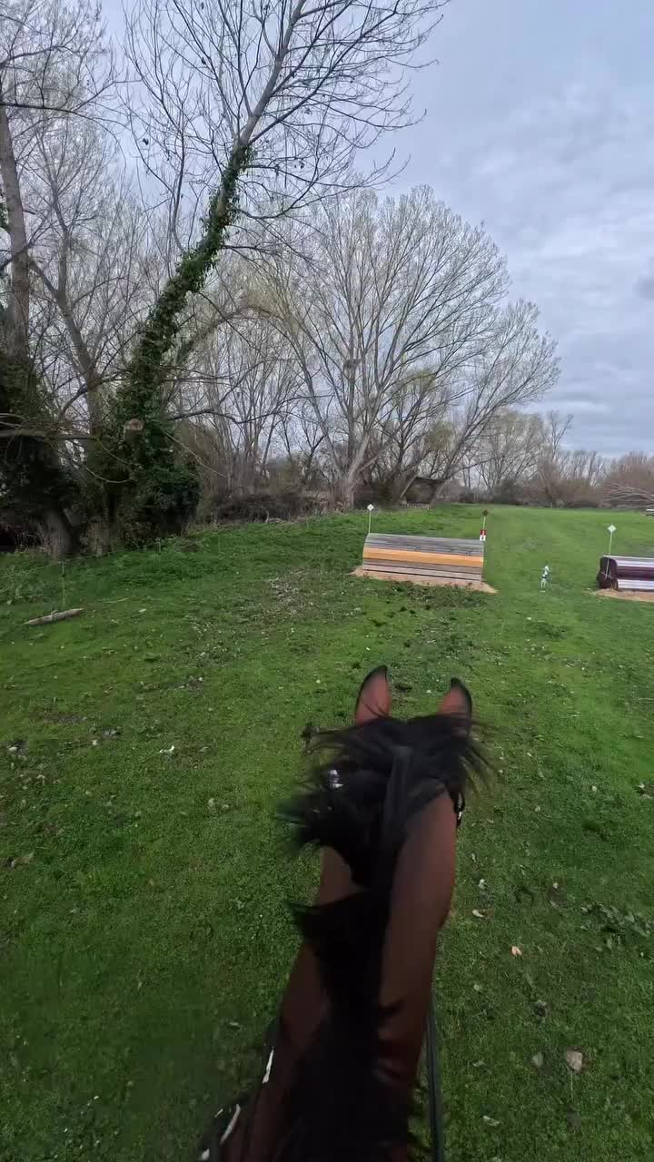 @ThunderGallops