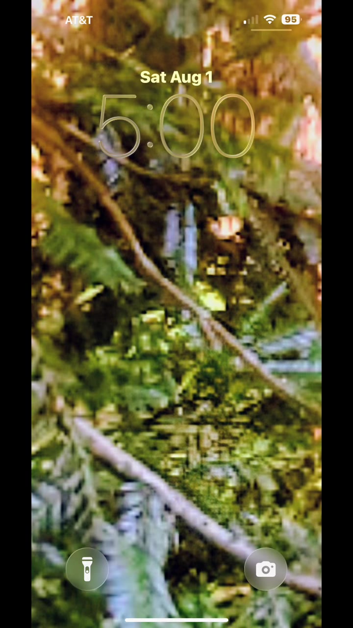 @🌲Forest Friend🌲🙏💗🫈