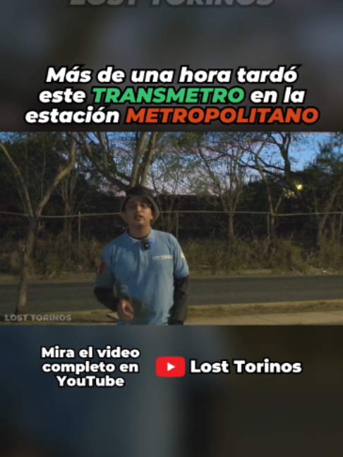 @Lost Torinos