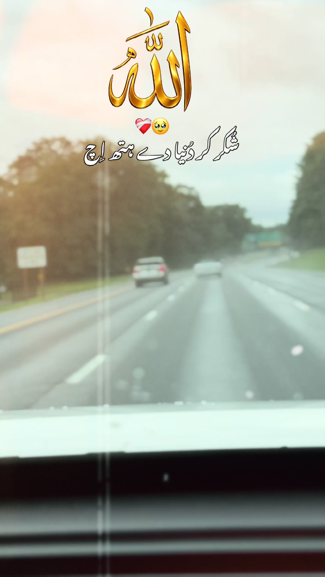 @Life in USA 🇺🇸