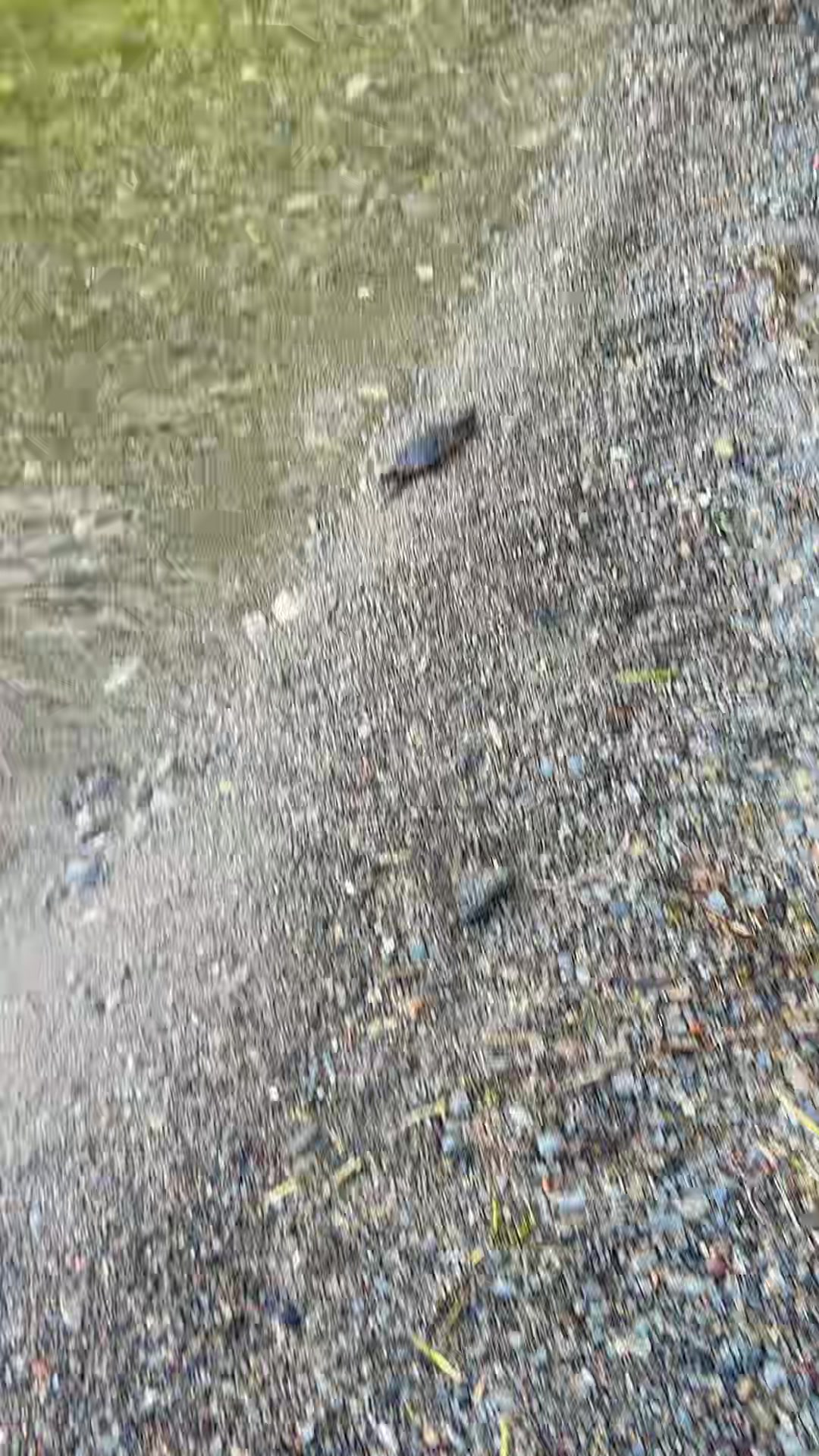 @Ganga