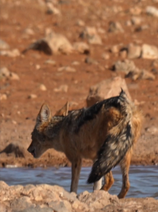@Madbookings Travel Namibia