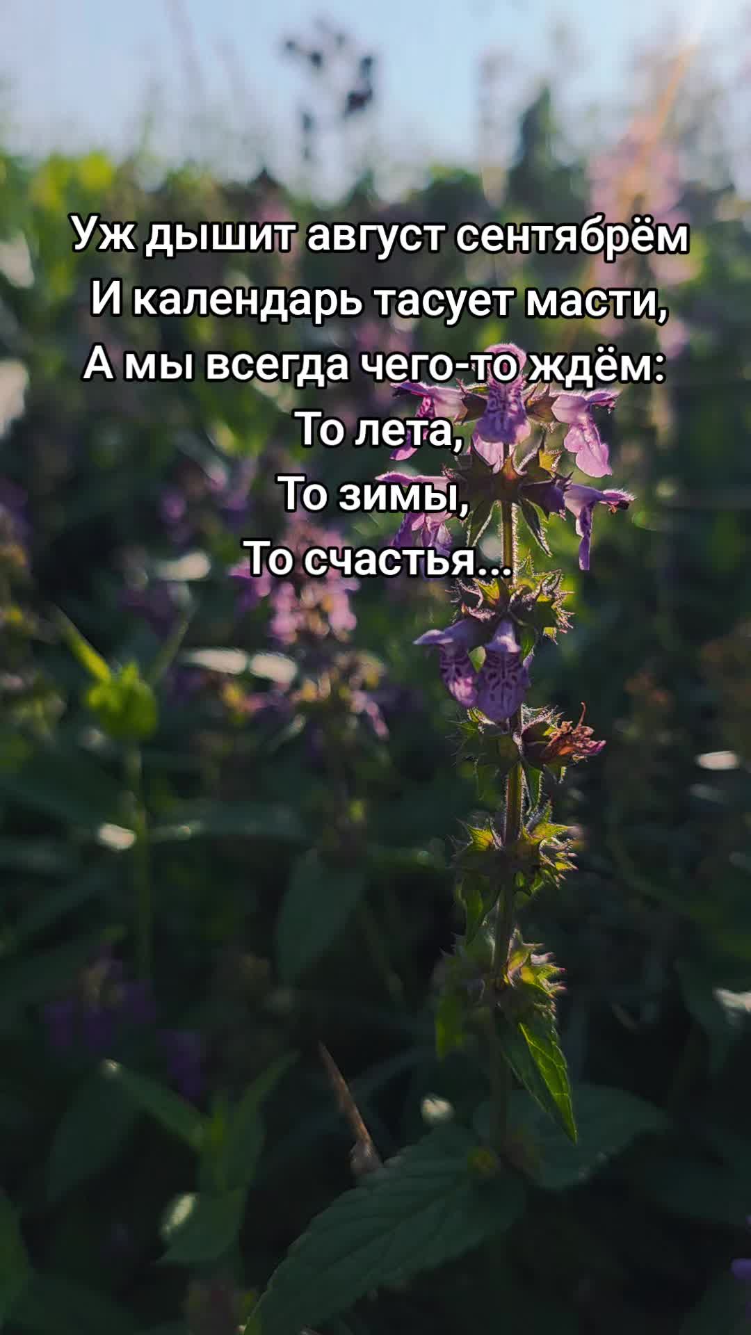 @Яркое Лето