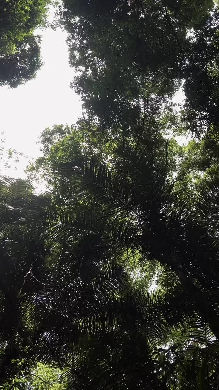 @Ani