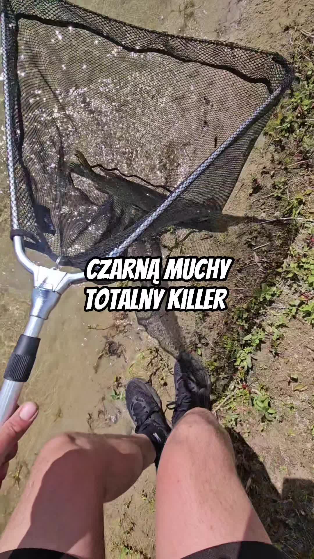 @mfly_lures