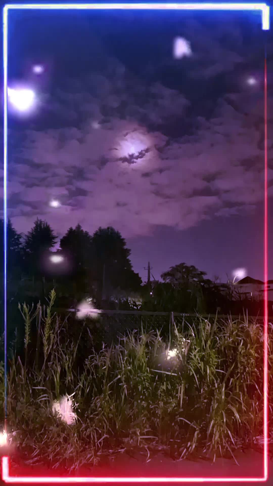 @kazuhiro sato