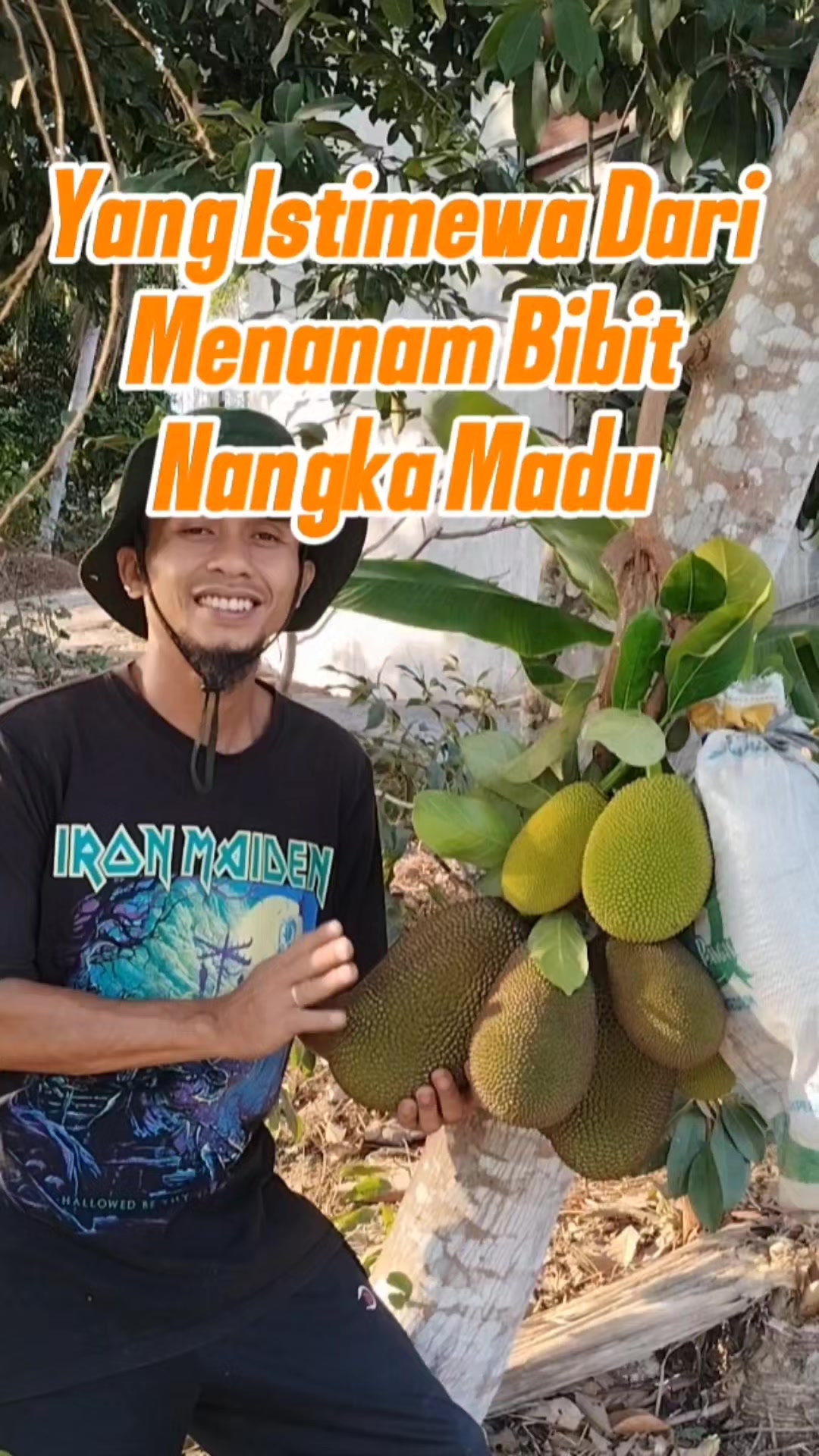 @Bukit Farming