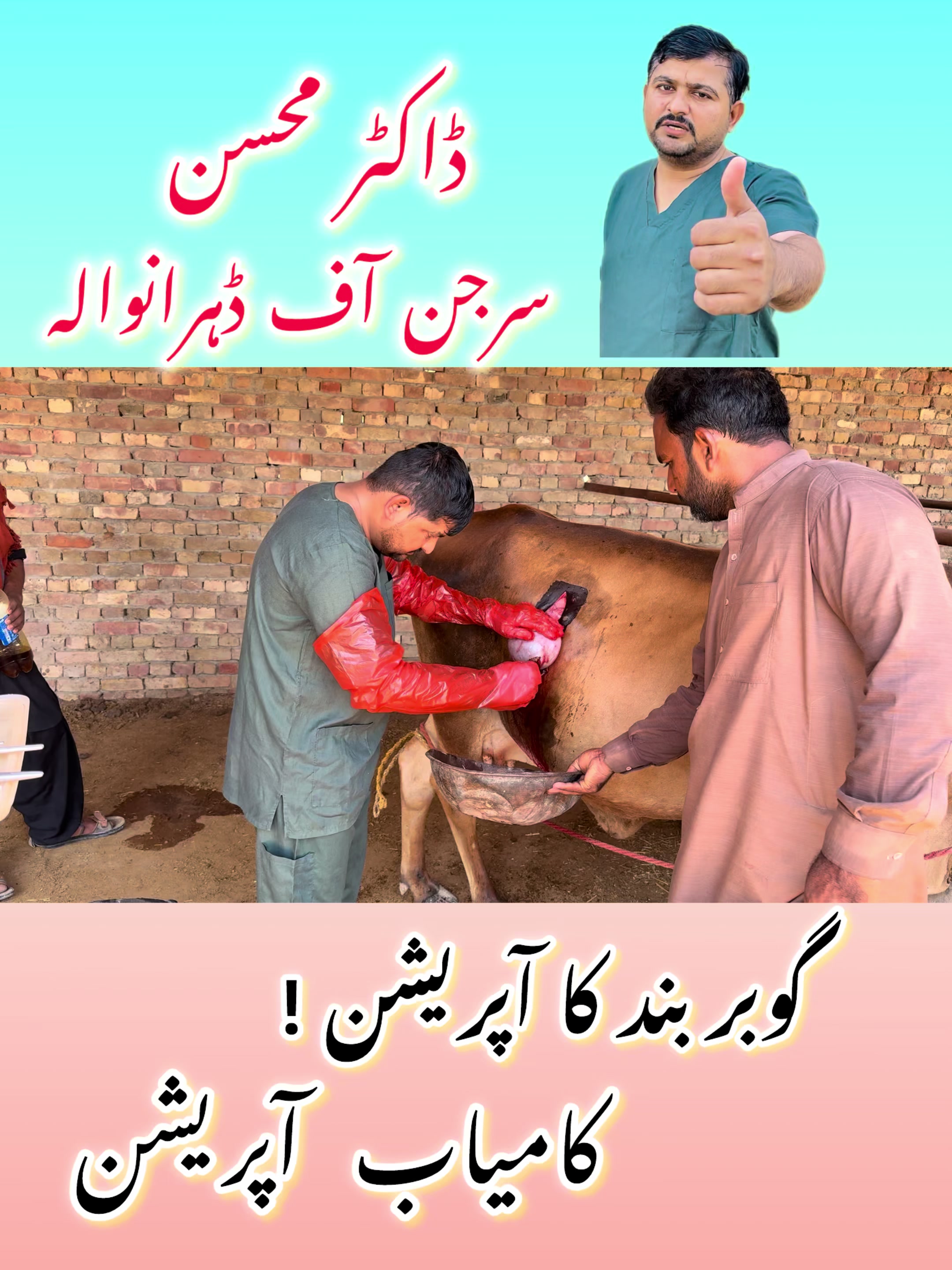 @Dr.Mohsin