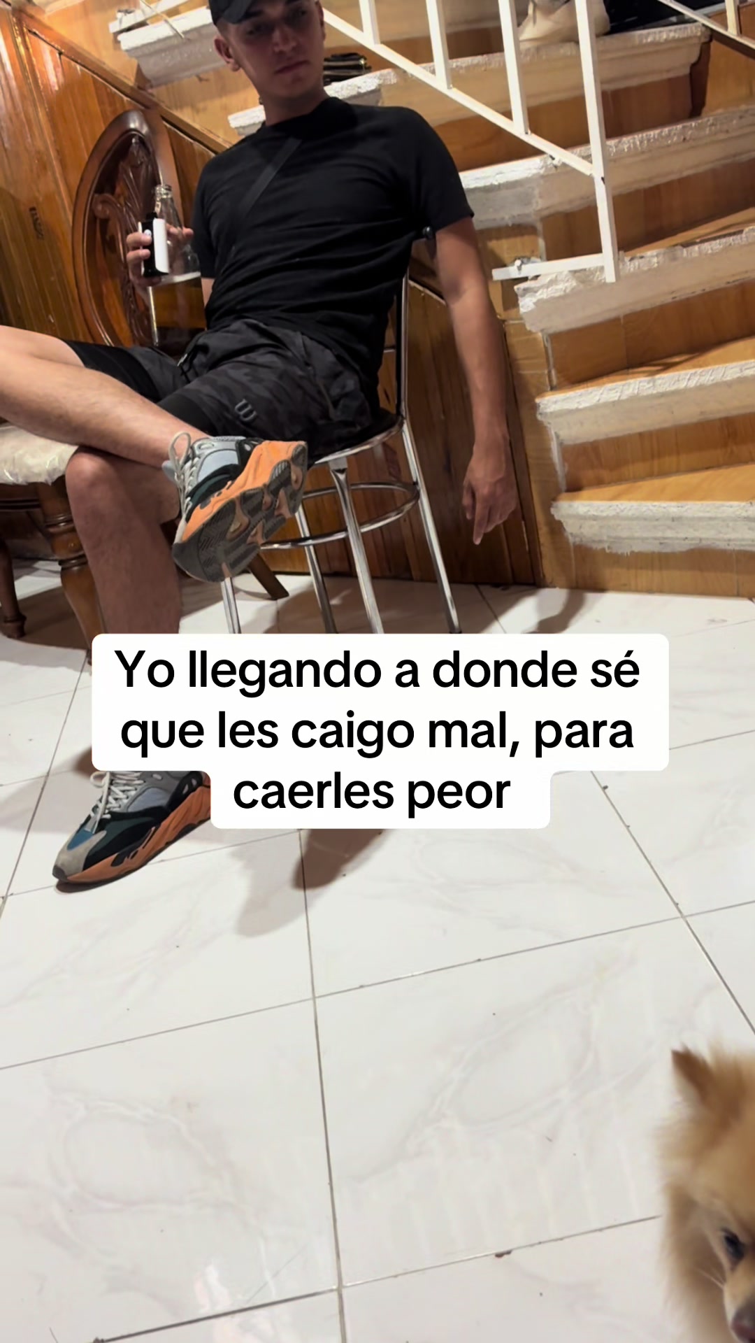 @Los Renys