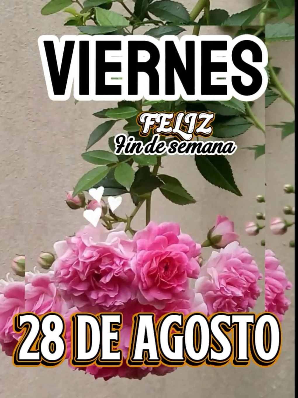 @Arely Mendoza Frases bonitas