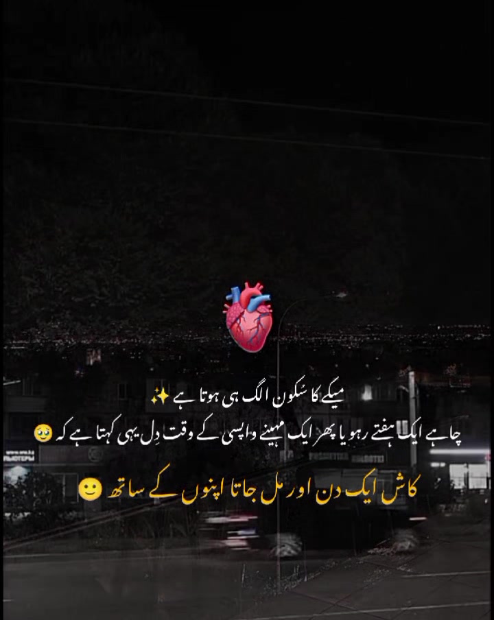 @MrS ArSaLaN♥️