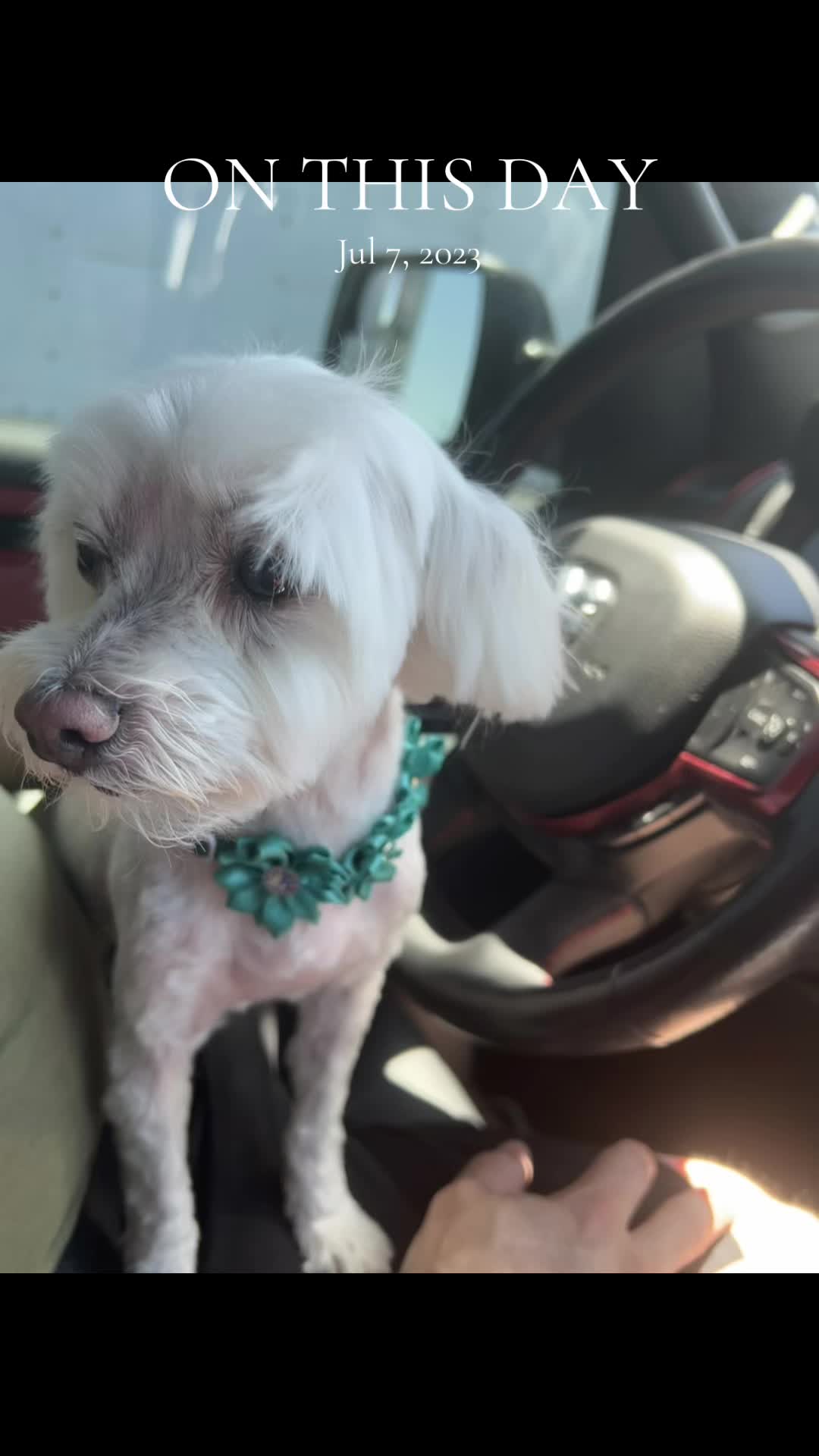 @Moranda BROWN ๐ค๐ค๐บ๐ธ