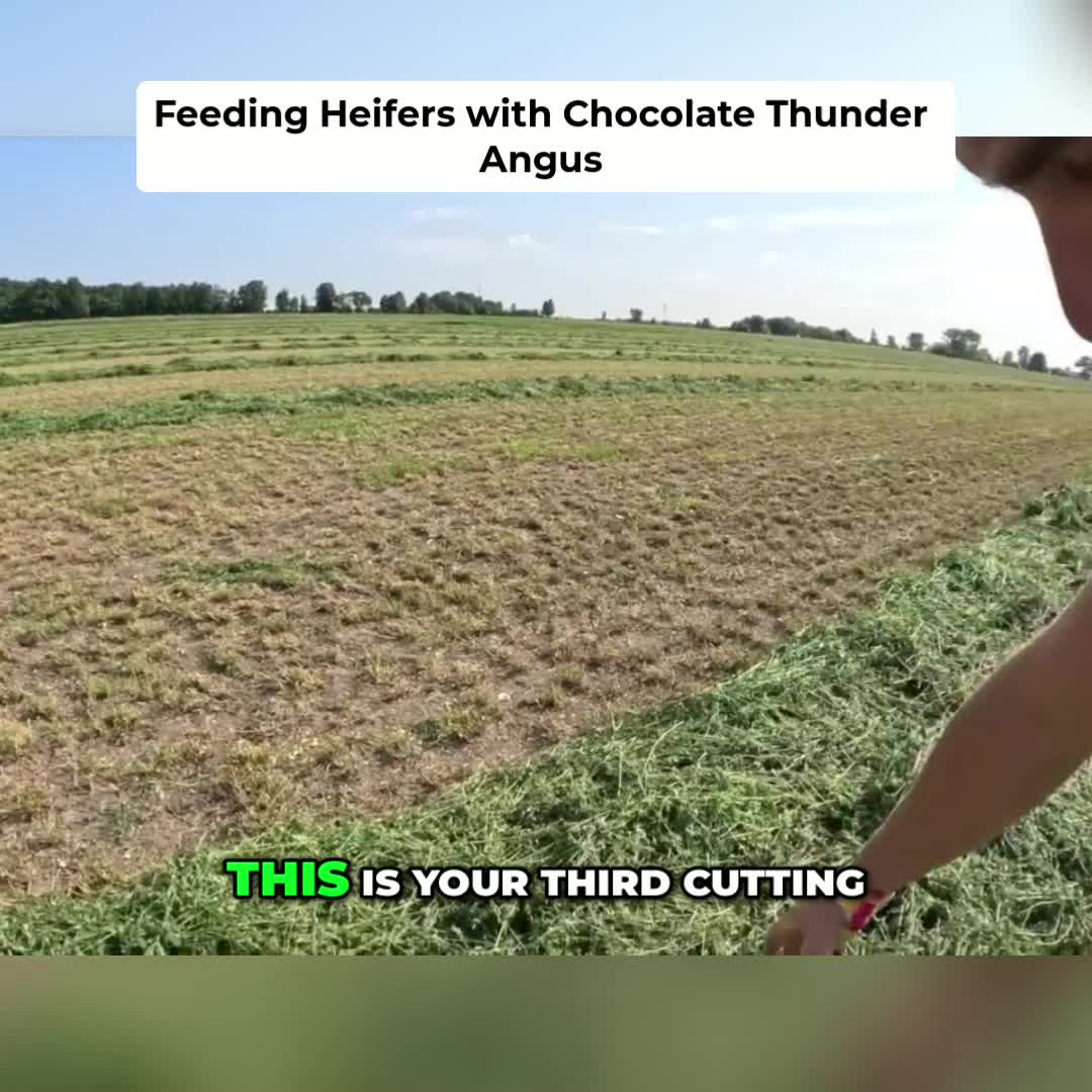 @Kip Siegler Farming