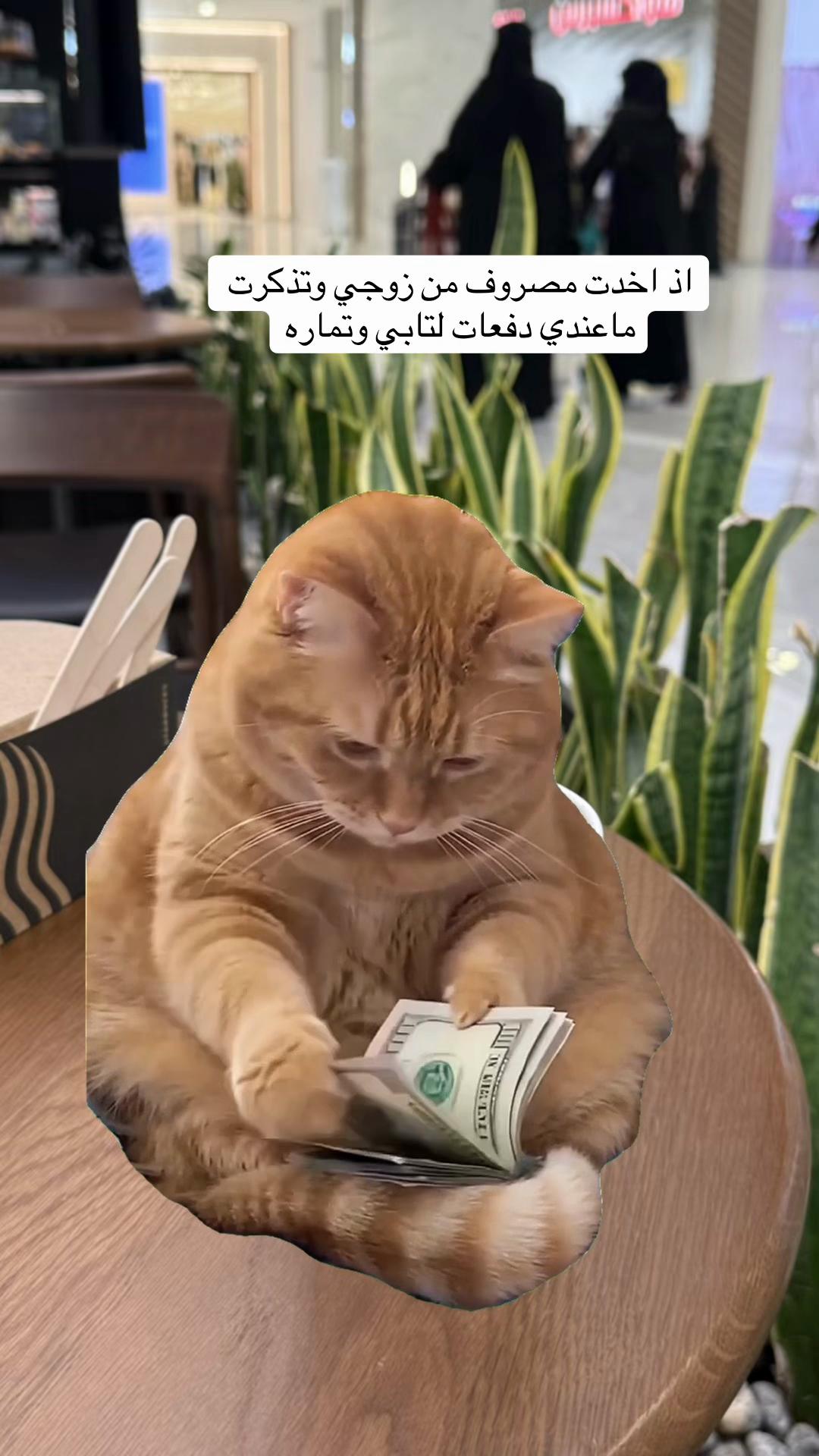 @أُم نايف 🐆 UGC📸