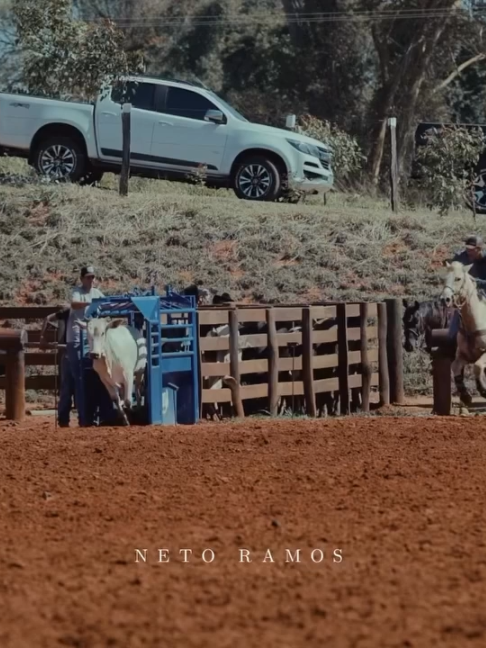 @Team Roping Brasil