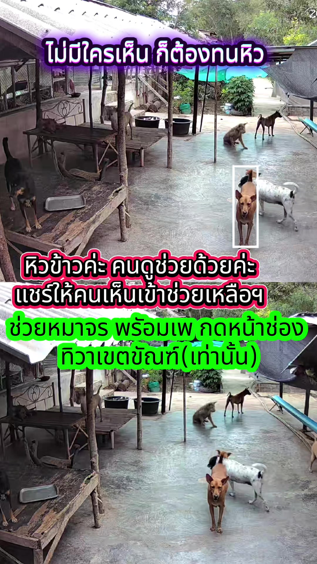 @๐๘๖๑๔o๘๓๙๖ทิวาเขตขัณฑ์