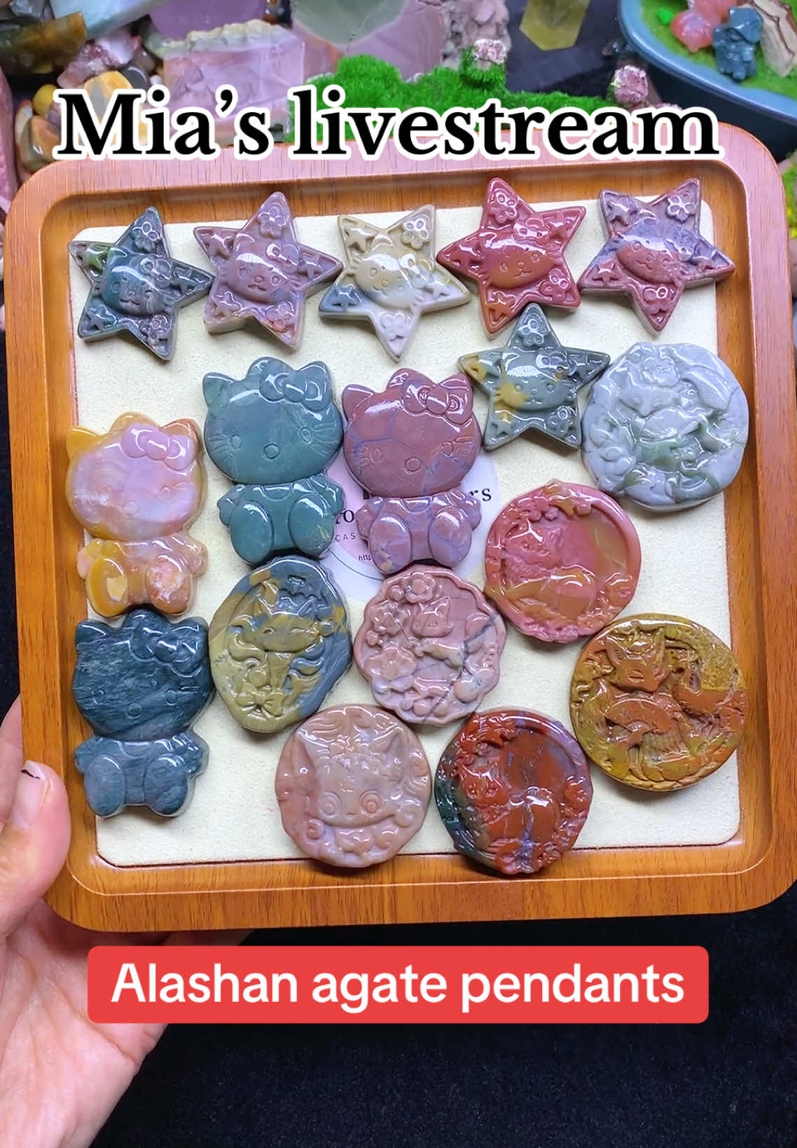 @ColorfulsisterUS